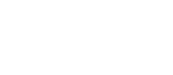 Bramex-New